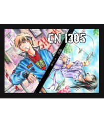 CN 1305